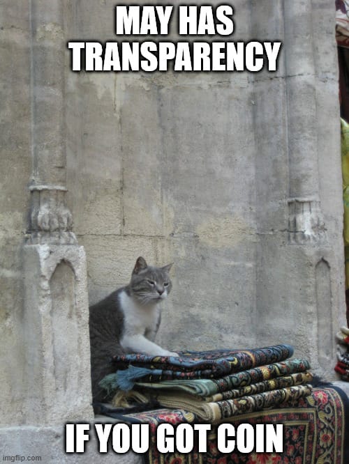 Cat sits on top of a pile of carpets for sale next to a weathered but decorated concrete wall. Caption: May has Transparency (top) If you got coin (bottom).